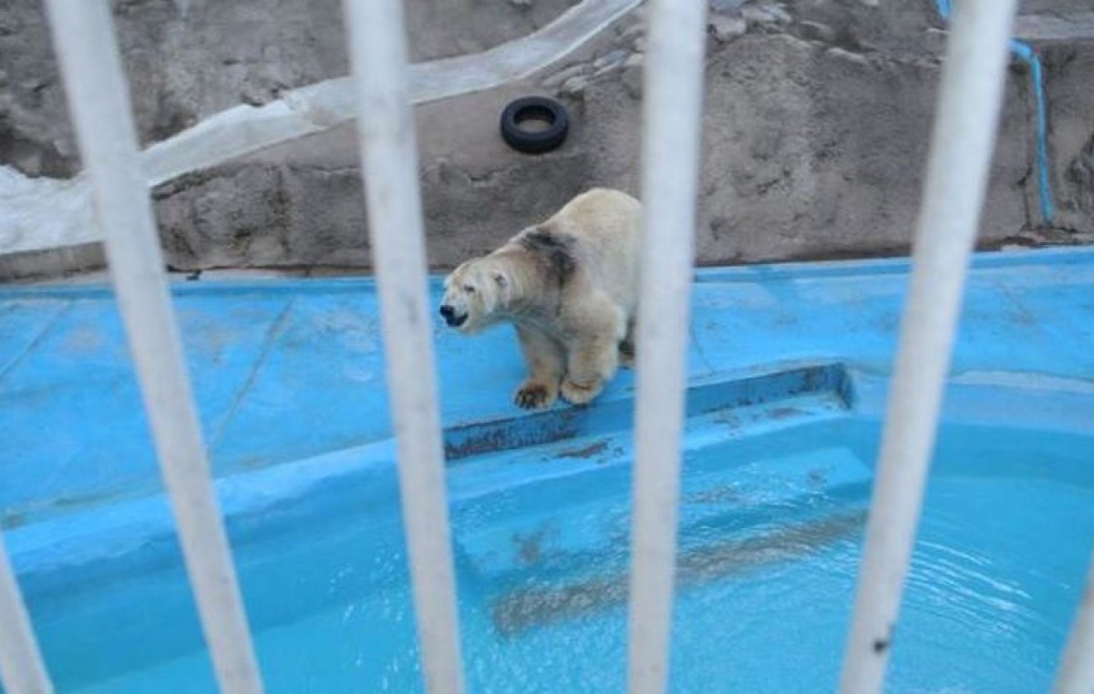 Así es el proyecto que pretende que el Zoo de Mendoza sea un ecoparque