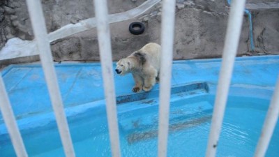 Así es el proyecto que pretende que el Zoo de Mendoza sea un ecoparque