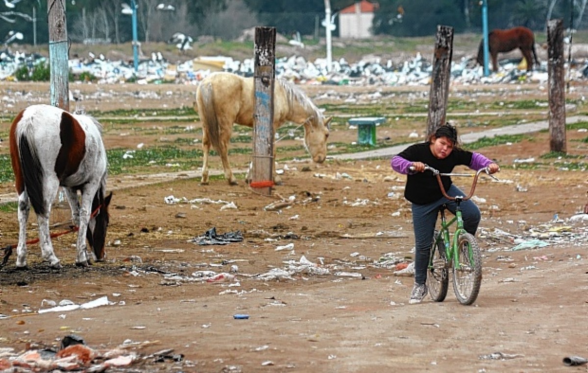 Bahía Blanca: Analizan alternativas para los caballos que dejarán la calle