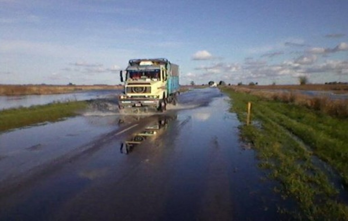 Por las lluvias, declararon la Emergencia Agropecuaria para once distritos más en Buenos Aires