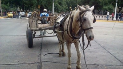 Reunión entre municipio capitalino y Río Cuarto por eliminación de carreros