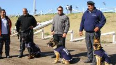 De la Policía Comunal de Rawson (San Juan) llegó la cuarta División Canes