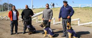 EN ACCIÓN. La División Canes de la Policía Comunal de Rawson ya está en funcionamiento. Los animales mostraron sus destrezas durante el la Fiesta del Carneo Español que se hizo en el Médano de Oro.