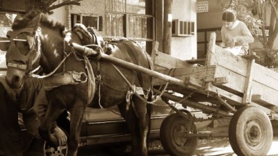Bahía Blanca: Tracción a sangre; cómo hicieron otras ciudades