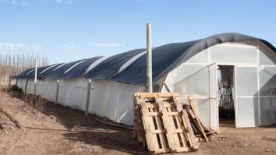Buscan potenciar la economía local en Centenario con nuevos invernaderos