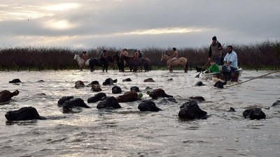 Declaran el «estado de emergencia» en varios distritos