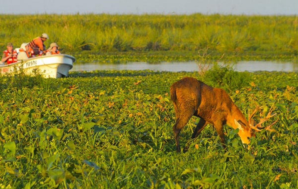 Buscan crear un Manual de Obras Públicas Turísticas para los Esteros del Iberá