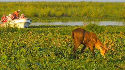 Buscan crear un Manual de Obras Públicas Turísticas para los Esteros del Iberá