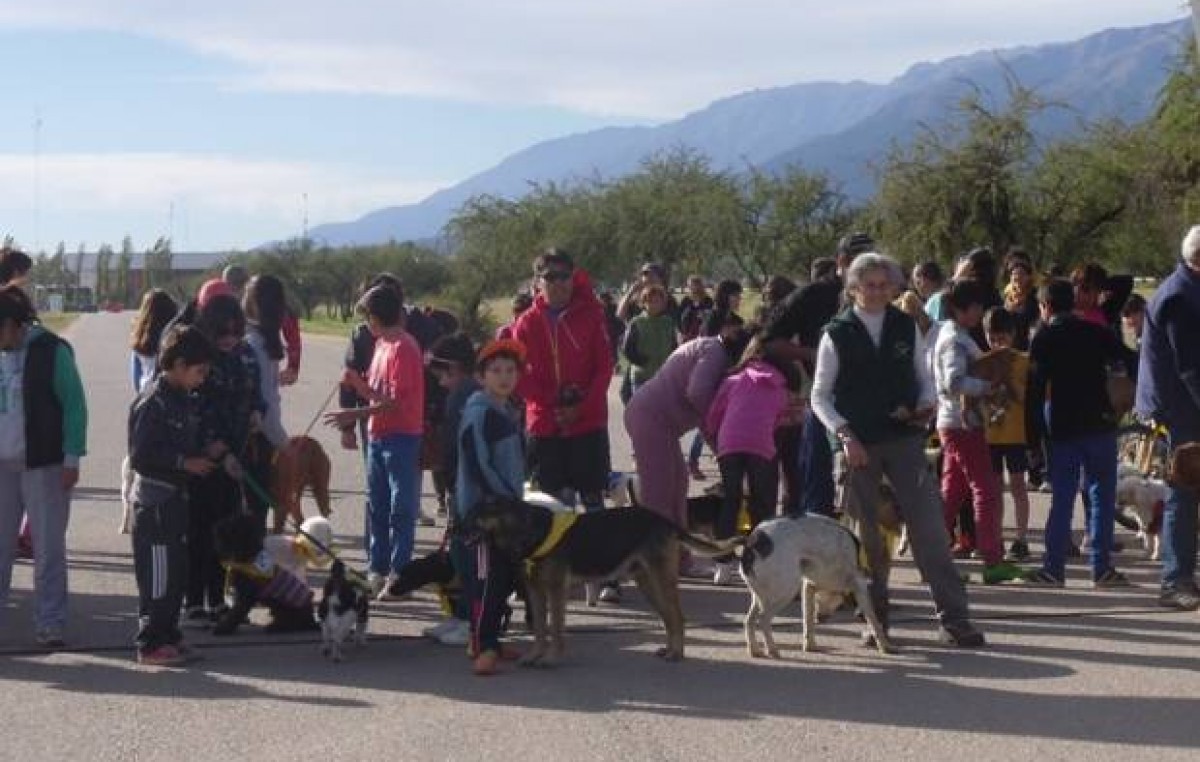 Merlo: crearán un organismo para cuidar a las mascotas