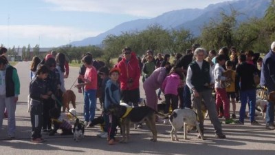 Merlo: crearán un organismo para cuidar a las mascotas