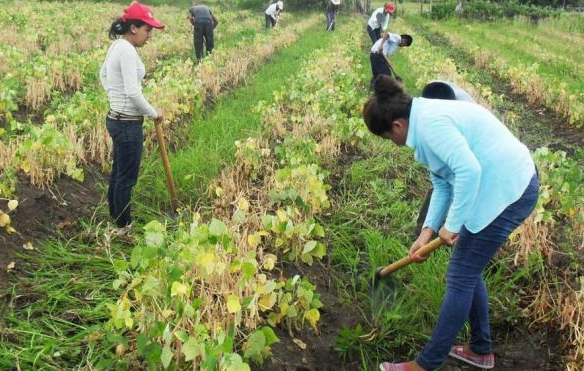 La Banda: Buscarán crear una base de datos de desempleados