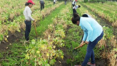 La Banda: Buscarán crear una base de datos de desempleados