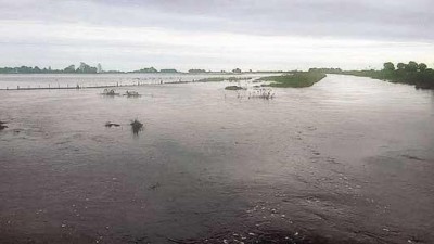 Ya hay 50 distritos en emergencia por las inundaciones en el interior bonaerense