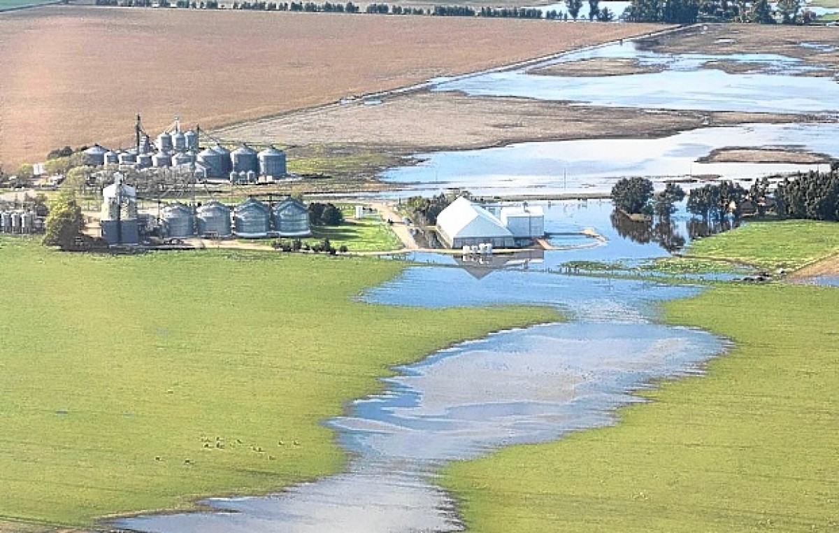 Tres Arroyos: El agua causó pérdidas de unos $ 700 millones