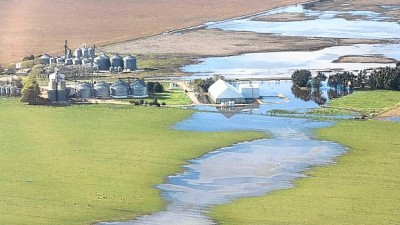 Tres Arroyos: El agua causó pérdidas de unos $ 700 millones