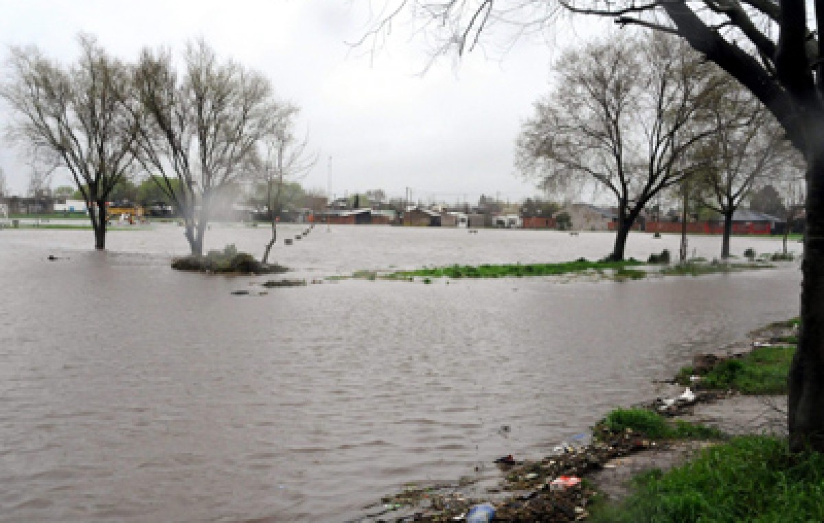 Inundaciones, clases suspendidas y evacuados a causa del temporal en Mar del Plata