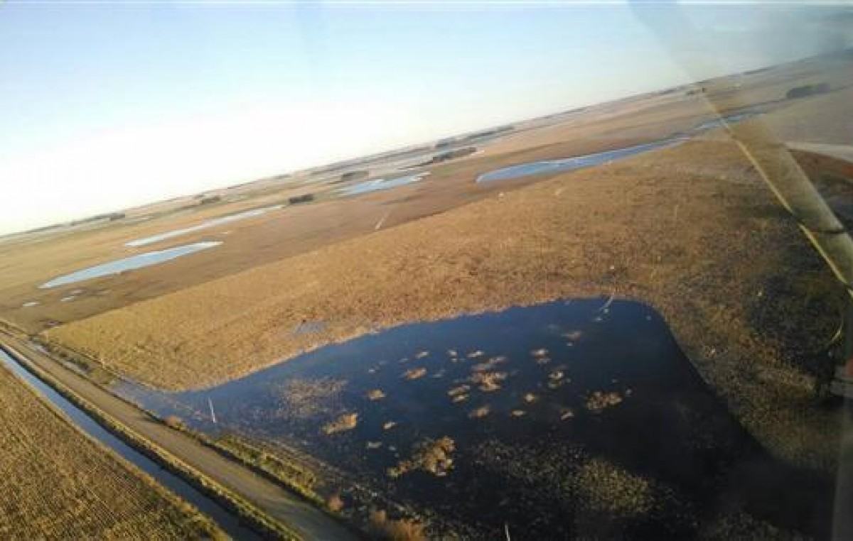 La lluvia no para en Buenos Aires y el campo está otra vez en emergencia