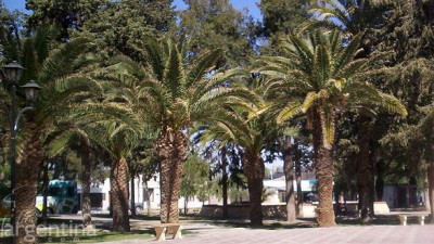 Jáchal: proyectan hacer una peatonal frente a la plaza