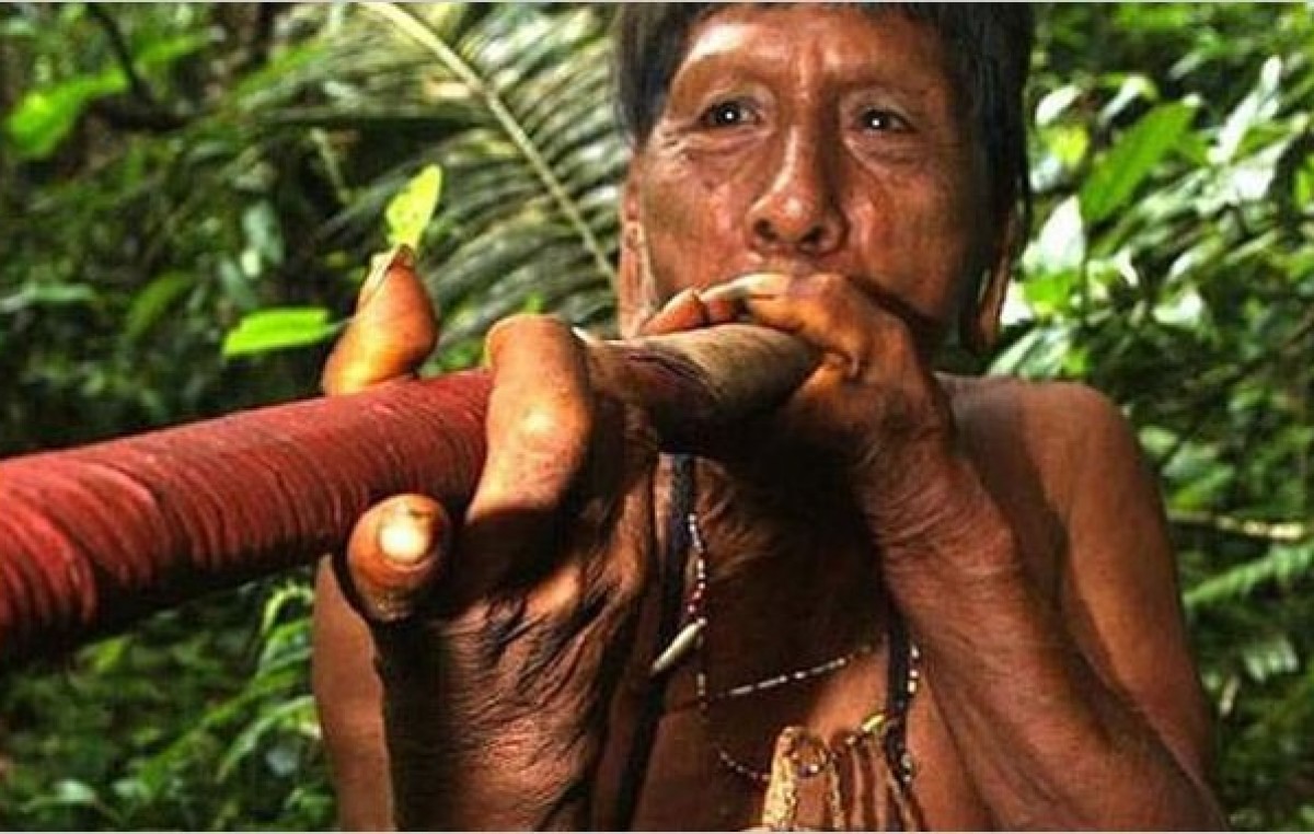En peligro de extinción 200 pueblos indígenas