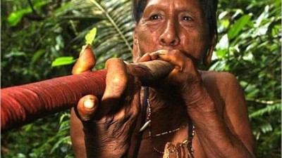En peligro de extinción 200 pueblos indígenas