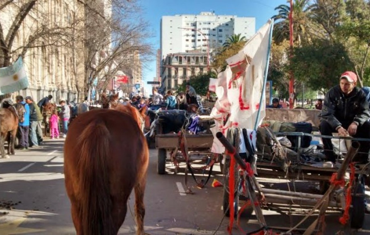 Cartonereos , Bahía Blanca: Cuánto ganan, una cuenta nada fácil de realizar