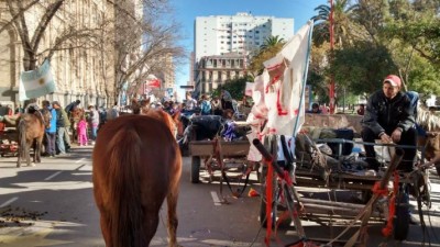 Cartonereos , Bahía Blanca: Cuánto ganan, una cuenta nada fácil de realizar