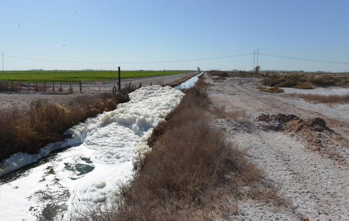 Mendoza lidera en el país el riego de cultivos con líquidos cloacales tratados
