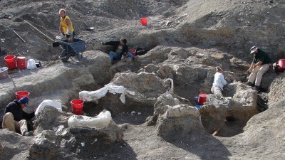 Determinan que en la Patagonia vivió el dinosaurio más grande