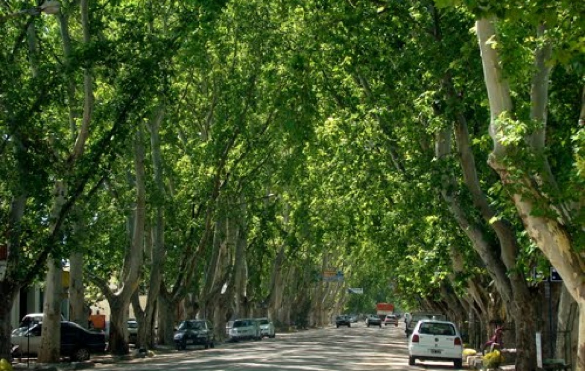 Caroya polemiza por su avance sobre zona rural