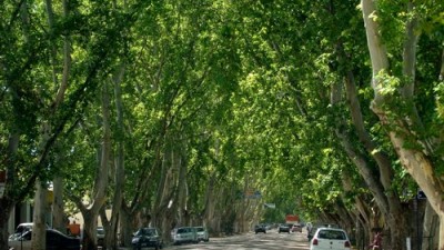 Caroya polemiza por su avance sobre zona rural