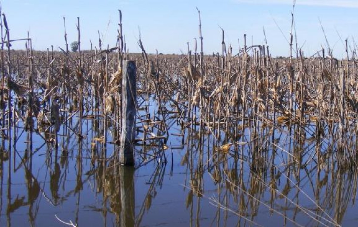 Campos bajo agua desde hace 6 meses en Córdoba y Santa Fe