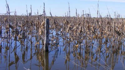 Campos bajo agua desde hace 6 meses en Córdoba y Santa Fe