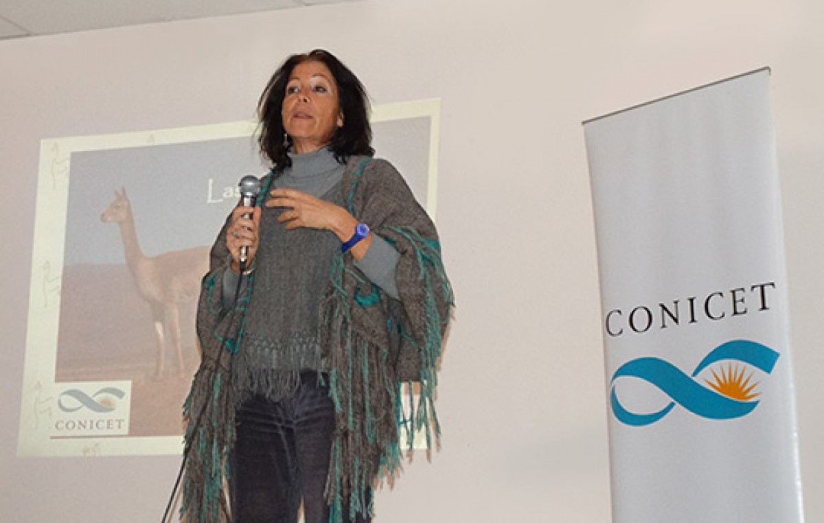 La ONU distingue a una investigadora argentina por su trabajo con vicuñas
