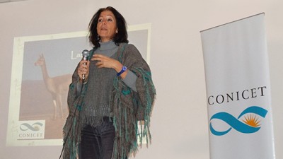 La ONU distingue a una investigadora argentina por su trabajo con vicuñas