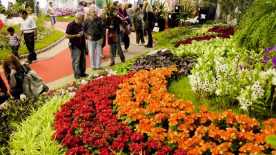  51° Fiesta Nacional de la Flor, Escobar desde el 27 /9 hasta el 13 /10