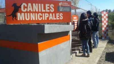 En Carlos Paz proponen un 5% de descuento en las tasas 2015 a quien adopte un perro de los caniles municipales