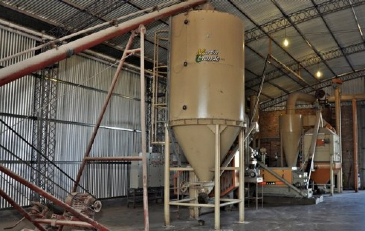 El Municipio de Alto Alegre construirá un molino harinero para exportar
