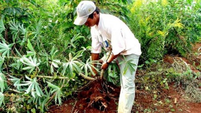 Elogian rol del Municipio Correntino de Santo Tomé para el sector productivo