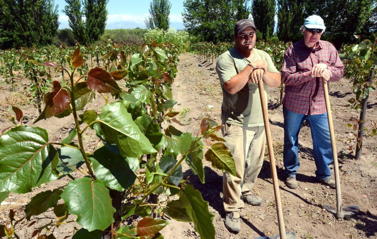 Personas con discapacidad aprenden un oficio en el vivero de Tunuyán