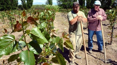 Personas con discapacidad aprenden un oficio en el vivero de Tunuyán