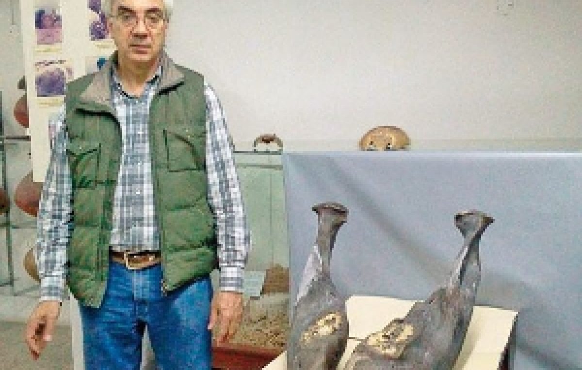 Revelan un yacimiento paleontológico entre Las Termas y la Capital