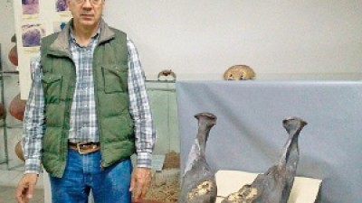 Revelan un yacimiento paleontológico entre Las Termas y la Capital