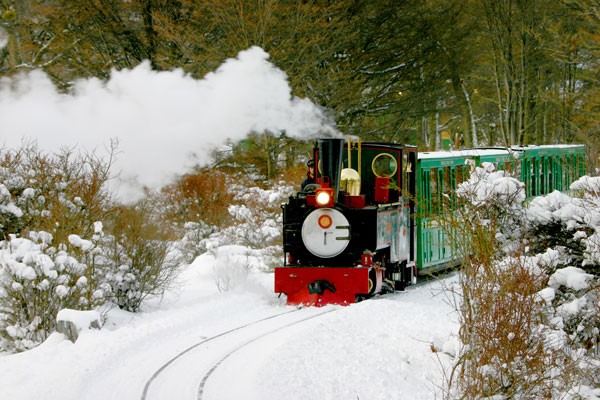 Subite a algunos de estos 7 trenes turísticos argentinos