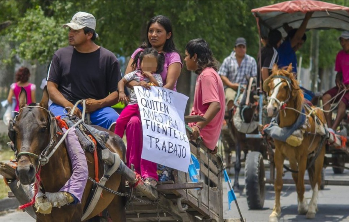 Acusaron al municipio de Salta de no hacer «nada» por los carreros
