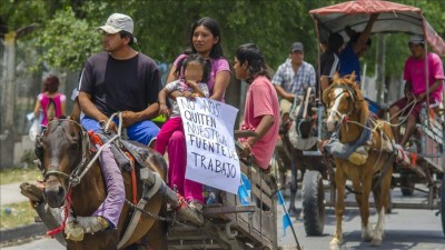 Acusaron al municipio de Salta de no hacer «nada» por los carreros