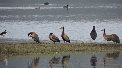 Seis Municipios de Jujuy se unen para mostrar sus bellezas