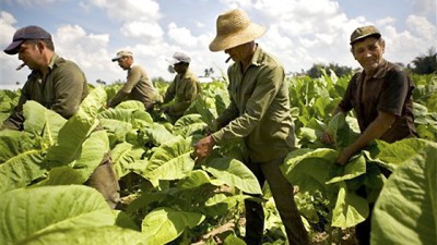 Salta: «se registrarán 600 mil nuevos empleados «