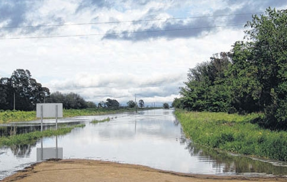 Es del 60% el grado de afectación de los caminos rurales de Suárez