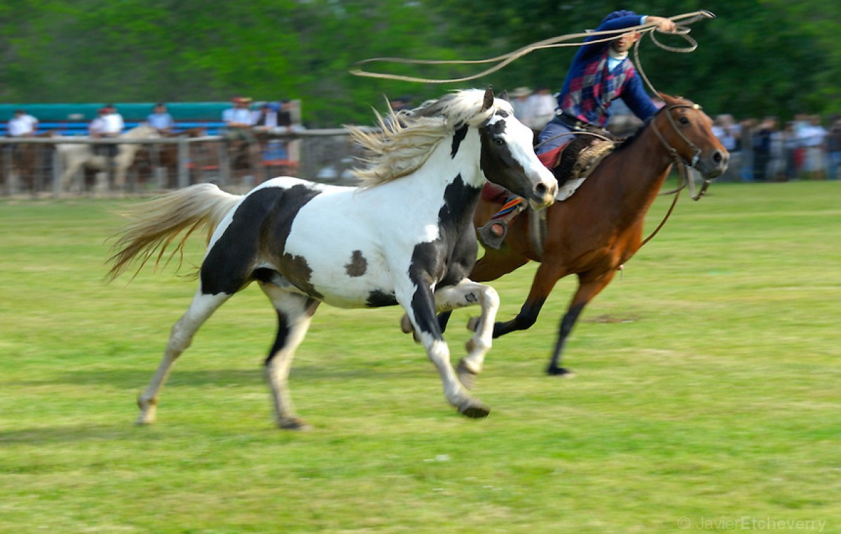 San Antonio de Areco celebra este fin de semana la Fiesta de la Tradición