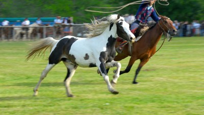 San Antonio de Areco celebra este fin de semana la Fiesta de la Tradición